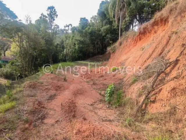 Sítio e chácara venda em Santo Antônio do Pinhal, Região Geográfica Intermediária de São José dos Campos