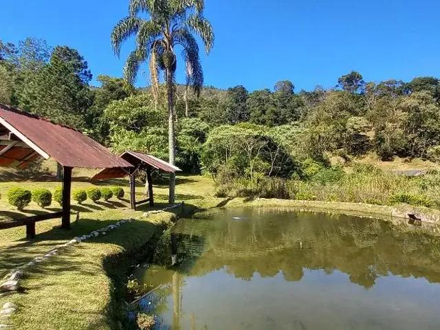 Sítio e chácara venda em Centro, Santo Antônio do Pinhal