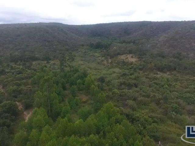 Sítio e chácara venda em Santo Antônio do Retiro, Região Sudeste