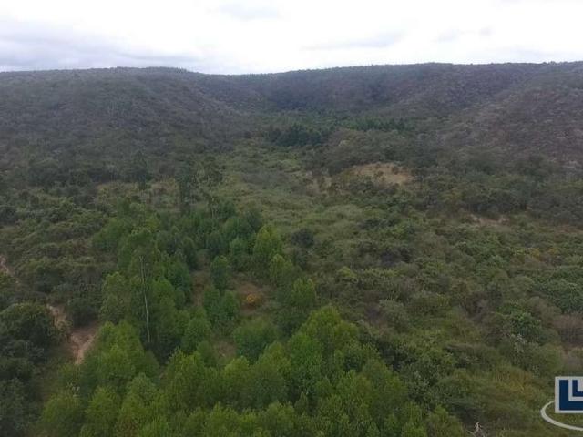 Sítio e chácara venda em Santo Antônio do Retiro, Região Sudeste