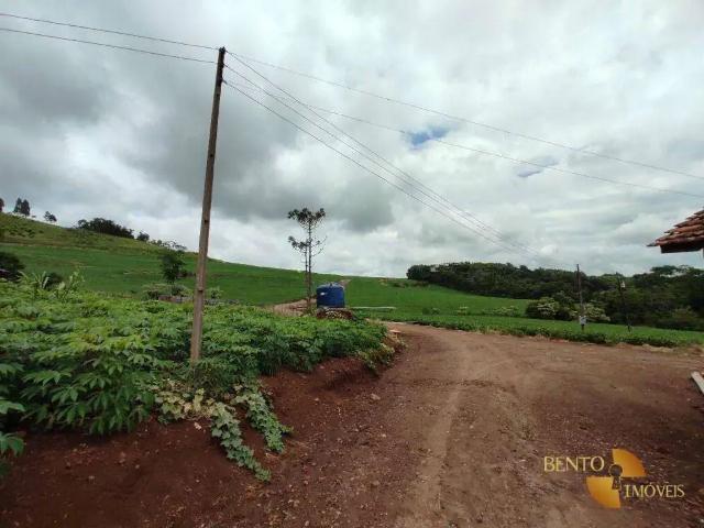 Sítio e chácara venda em Região Geográfica Imediata de Francisco Beltrão, Santo Antônio do Sudoeste