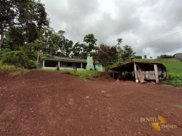 Sítio e chácara venda em Região Geográfica Imediata de Francisco Beltrão, Santo Antônio do Sudoeste