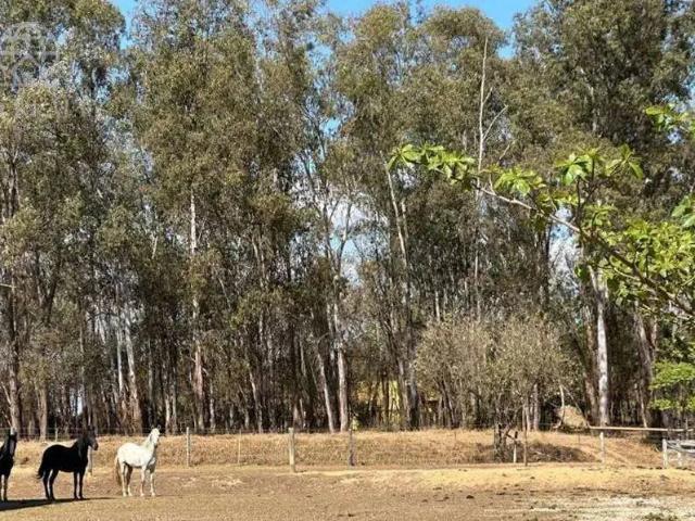 Sítio e chácara venda em Região Imediata de Santos, Região Metropolitana da Baixada Santista
