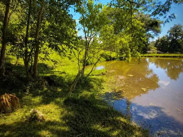 Sítio e chácara venda em Região Geográfica Imediata de Novo Hamburgo - São Leopoldo, Região Metropolitana de Porto Alegre