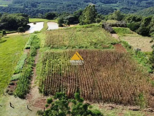 Sítio e chácara venda em Região Geográfica Imediata de Novo Hamburgo - São Leopoldo, Região Metropolitana de Porto Alegre