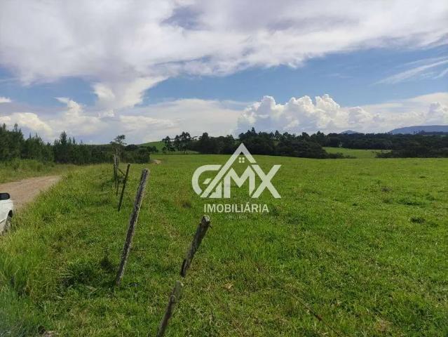 Sítio e chácara venda em Região Geográfica Imediata de Cornélio Procópio-Bandeirantes, Sapopema