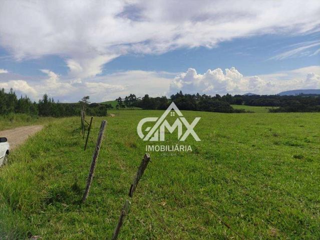 Sítio e chácara venda em Sapopema, Região Geográfica Intermediária de Londrina