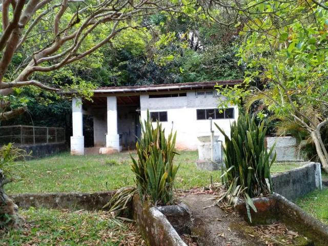 Sítio e chácara venda em Sapucaí-Mirim