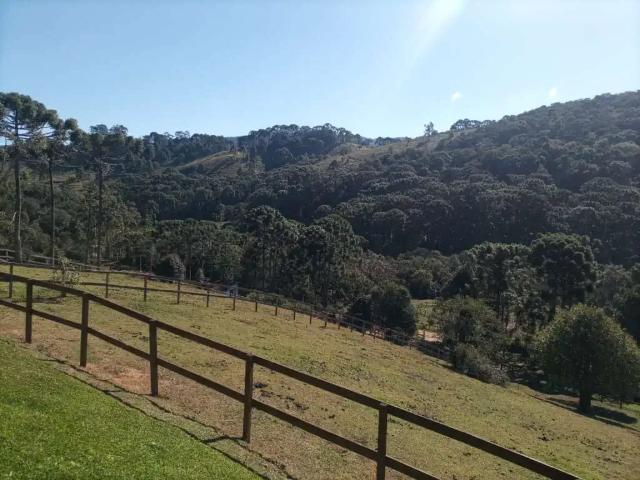 Sítio e chácara venda em Regional Centro-Sul, Belo Horizonte