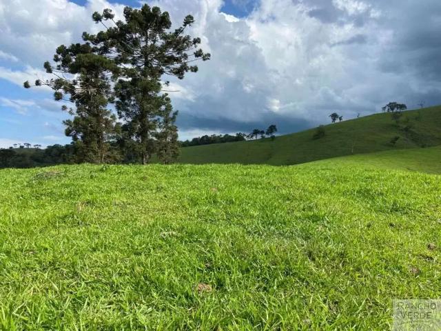Sítio e chácara venda em Sapucaí-Mirim
