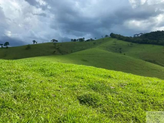 Sítio e chácara venda em Região Geográfica Imediata de Itajubá, Sapucaí-Mirim