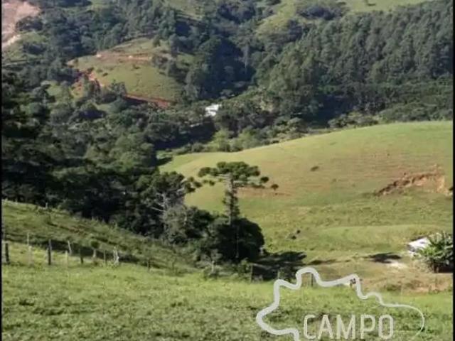 Sítio e chácara venda em Região Geográfica Imediata de Itajubá, Sapucaí-Mirim