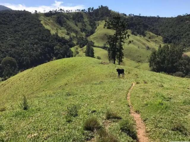 Sítio e chácara venda em Região Geográfica Imediata de Itajubá, Sapucaí-Mirim