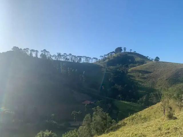 Sítio e chácara venda em Região Geográfica Imediata de Itajubá, Sapucaí-Mirim