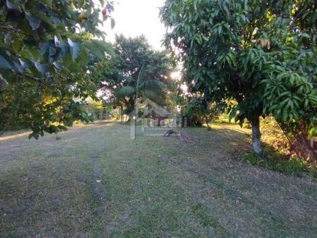 Sítio e chácara venda em Sapucaia do Sul