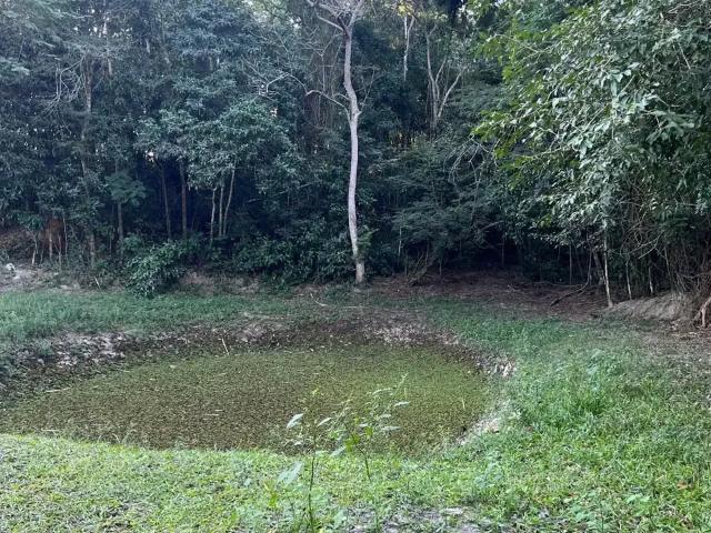 Sítio e chácara venda em Araruama