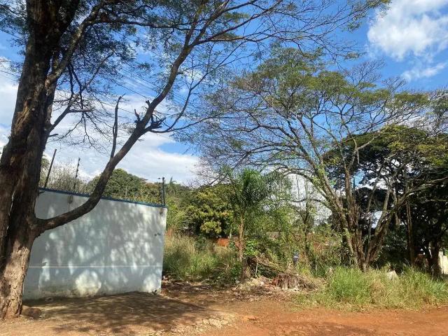 Sítio e chácara venda em Região Geográfica Imediata de Maringá, Sarandi