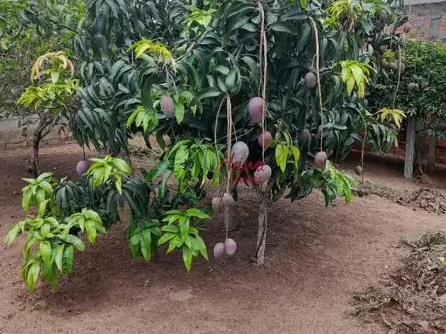 Sítio e chácara venda em Região Imediata de Sorocaba, Região Metropolitana de Sorocaba