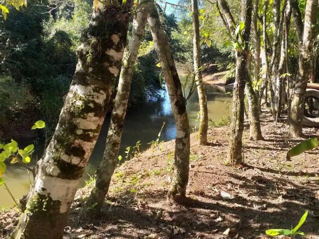 Sítio e chácara venda em Jardim Zulmira, Sarapuí