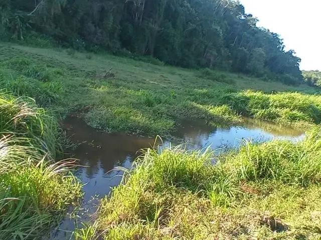 Sítio e chácara venda em Centro, Sarapuí