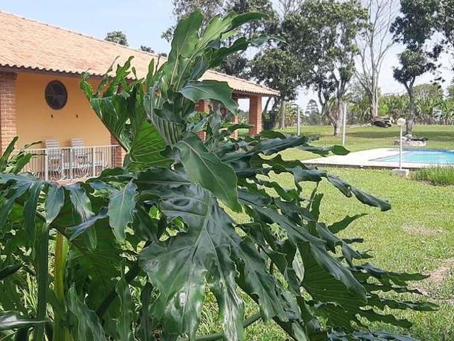 Sítio e chácara venda em Região Imediata de Sorocaba, Região Metropolitana de Sorocaba