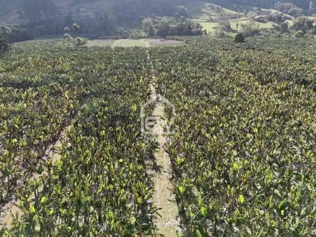 Sítio e chácara venda em Região Geográfica Imediata de Joinville, Schroeder
