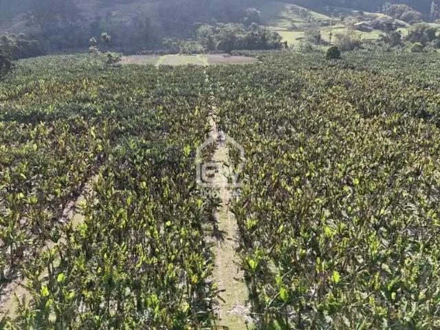 Sítio e chácara venda em Região Geográfica Imediata de Joinville, Schroeder