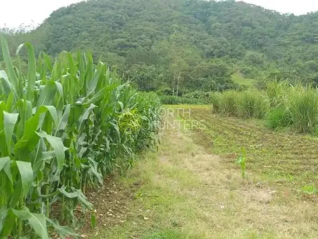 Sítio e chácara venda em Região Geográfica Imediata de Joinville, Schroeder
