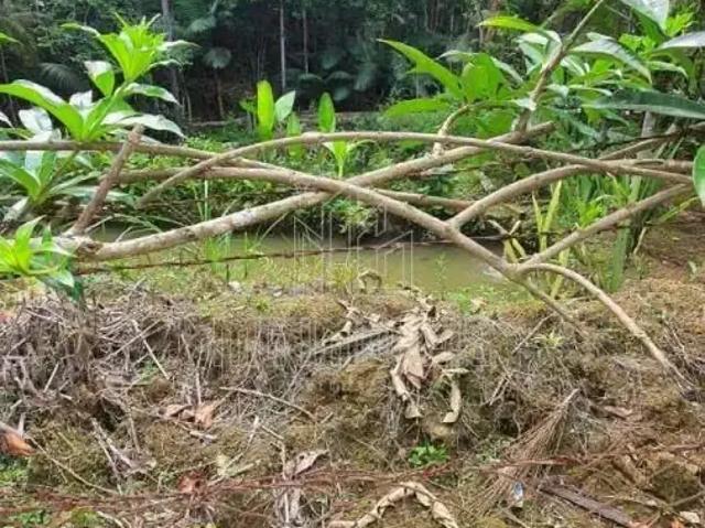 Sítio e chácara venda em Região Geográfica Imediata de Joinville, Schroeder