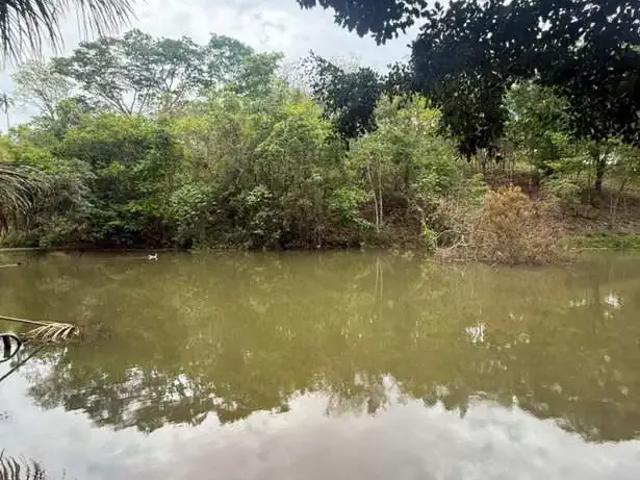 Sítio e chácara venda em Região Geográfica Imediata de Goiânia, Senador Canedo