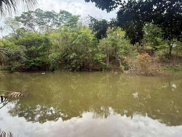 Sítio e chácara venda em Setor Central 2, Senador Canedo