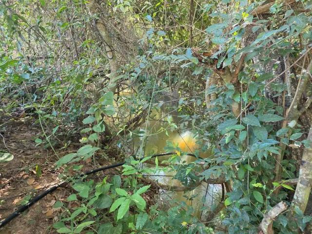 Sítio e chácara venda em Região Geográfica Imediata de Anápolis, Anápolis