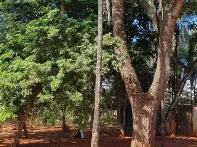 Sítio e chácara venda em Região Geográfica Imediata de Goiânia, Senador Canedo