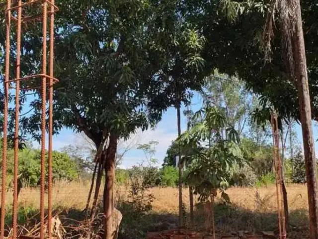 Sítio e chácara venda em Região Geográfica Imediata de Goiânia, Senador Canedo