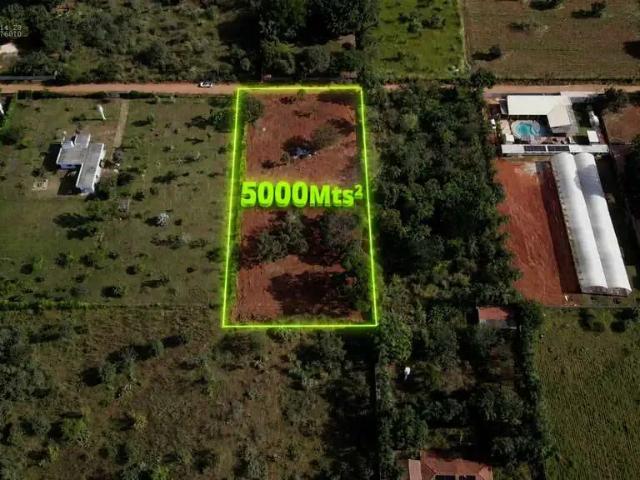 Sítio e chácara venda em Região Geográfica Imediata de Goiânia, Senador Canedo