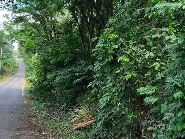 Sítio e chácara venda em Região Geográfica Imediata de Goiânia, Senador Canedo