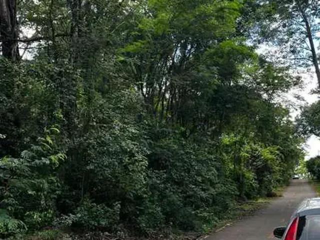 Sítio e chácara venda em Região Geográfica Imediata de Goiânia, Senador Canedo
