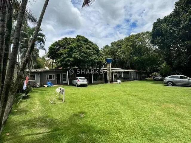 Sítio e chácara venda em Estância Vargem Bonita, Senador Canedo
