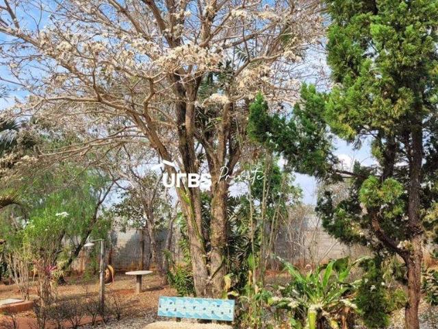 Sitio venda em Senador Canedo, Chácaras Vargem Bonita II