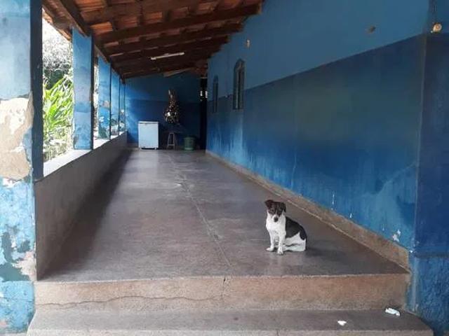 Sítio e chácara venda em Sítios Vale das Brisas, Senador Canedo