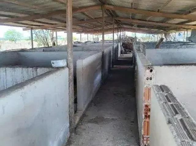 Sítio e chácara venda em Senador Eloi de Souza, Região Nordeste