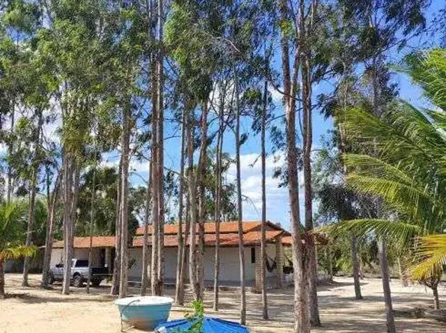 Sítio e chácara venda em Senador Eloi de Souza, Rio Grande do Norte
