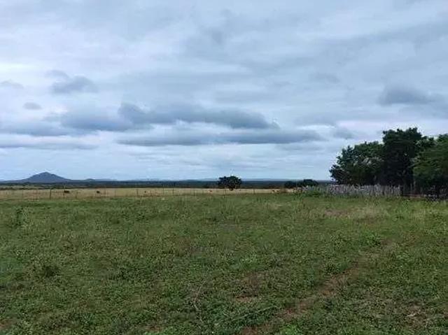Sítio e chácara venda em Senador Eloi de Souza, Região Nordeste