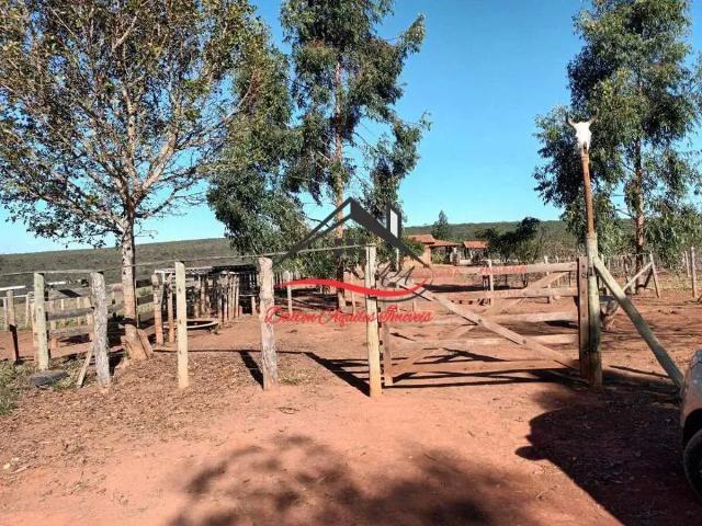 Sítio e chácara venda em Região Geográfica Imediata de Diamantina, Senador Modestino Gonçalves