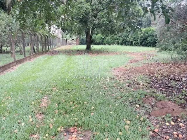 Sítio e chácara venda em Região Imediata de Ribeirão Preto, Região Metropolitana de Ribeirão Preto