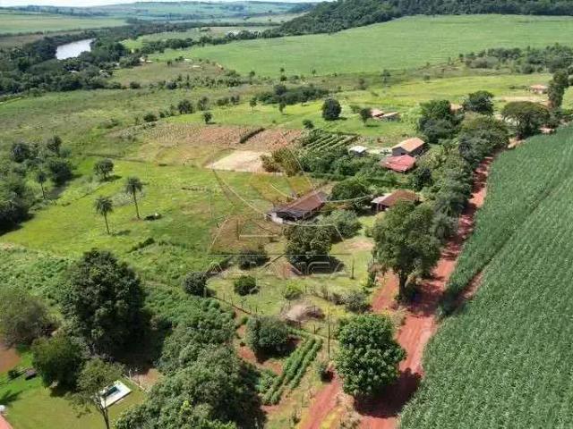 Sítio e chácara venda em Região Imediata de Ribeirão Preto, Região Metropolitana de Ribeirão Preto