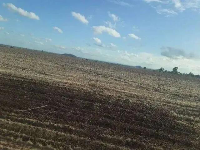 Sítio e chácara venda em Taipu, Região Nordeste