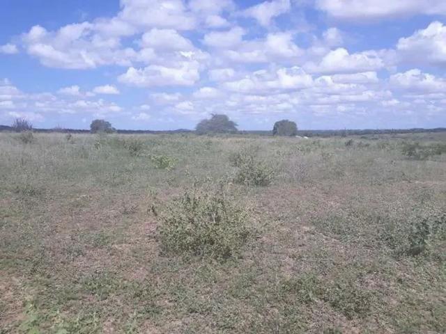 Sítio e chácara venda em Taipu, Região Nordeste
