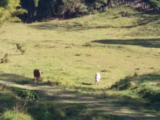 Sítio e chácara venda em Região Imediata de Amparo, Serra Negra