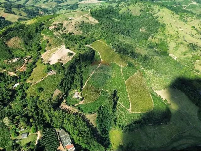 Sítio e chácara venda em Região Imediata de Amparo, Serra Negra